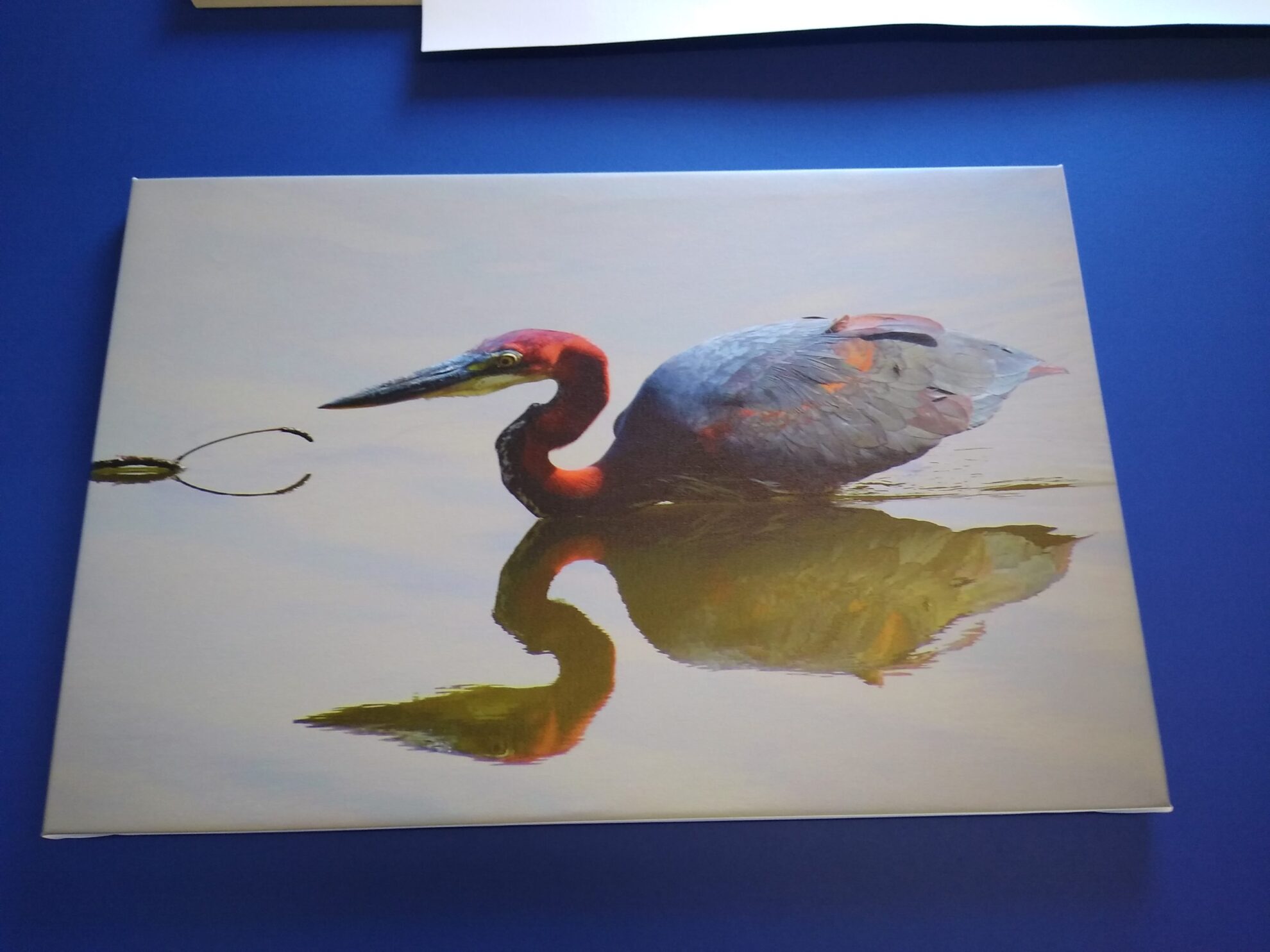 Print and Frame - Framework Studios Picture Framers